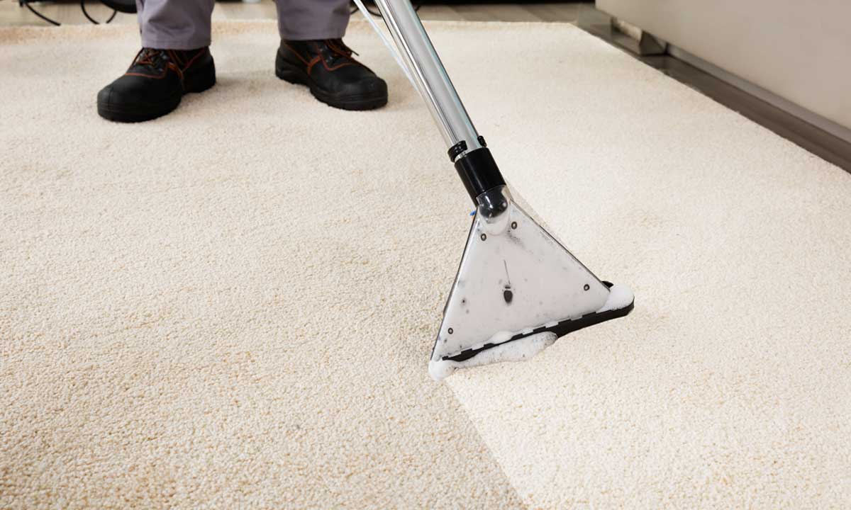 How to Get a Professional Carpet Clean at Home